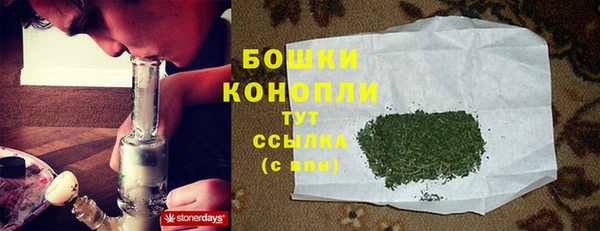 прущий лед Бронницы